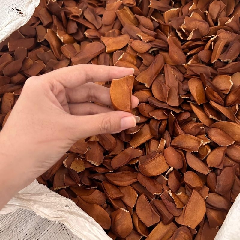 

MAHONI KULIT 100 gram