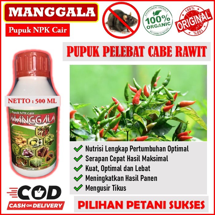 pupuk pelebat cabe rawit terbaik - PUPUK NPK CAIR MANGGALA membantu meningkatkan tanaman cabe, Obat 