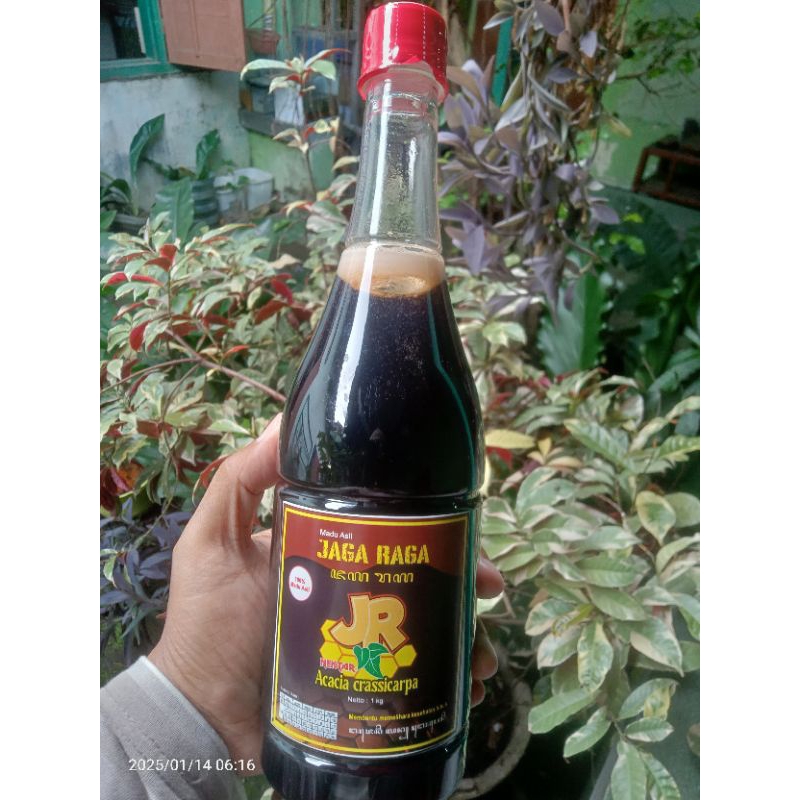 

MADU ASLI AKASIA CARPA MADU MURNI AKASIA KARPA