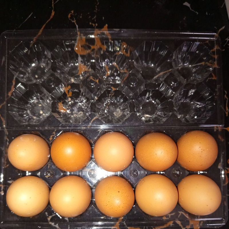 

(AOL) 10 Butir Telur Ayam Negeri