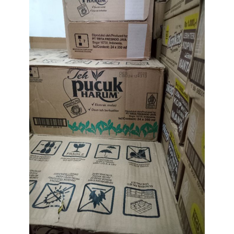 

TehPucuk