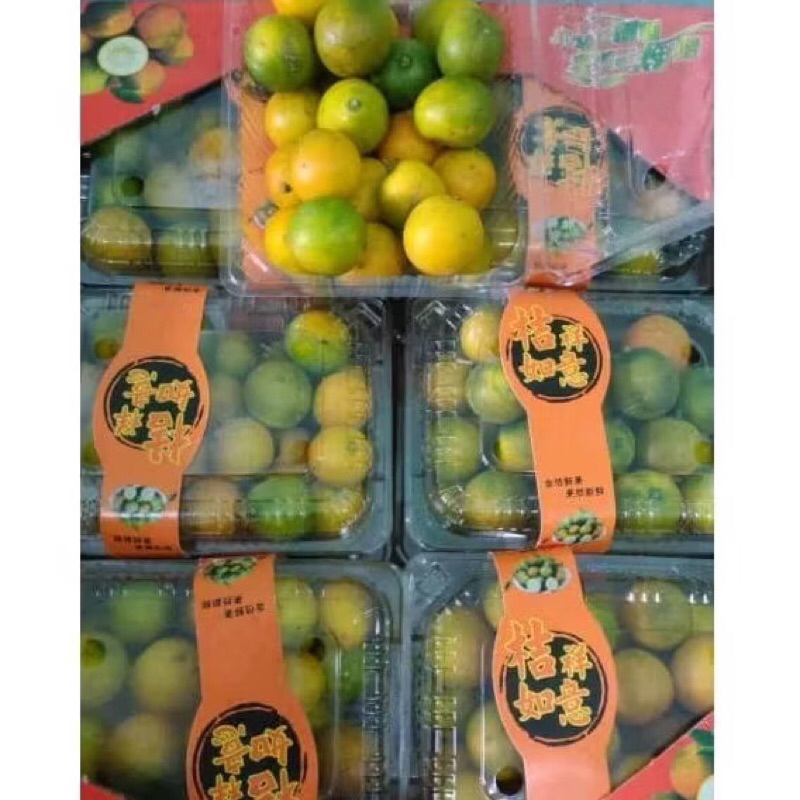 

Jeruk Kimkit