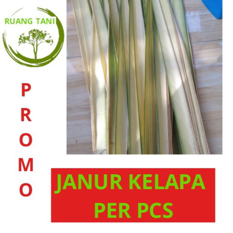 

JANUR KELAPA BAHAN CANGKANG KETUPAT DAUN KELAPA MUDA