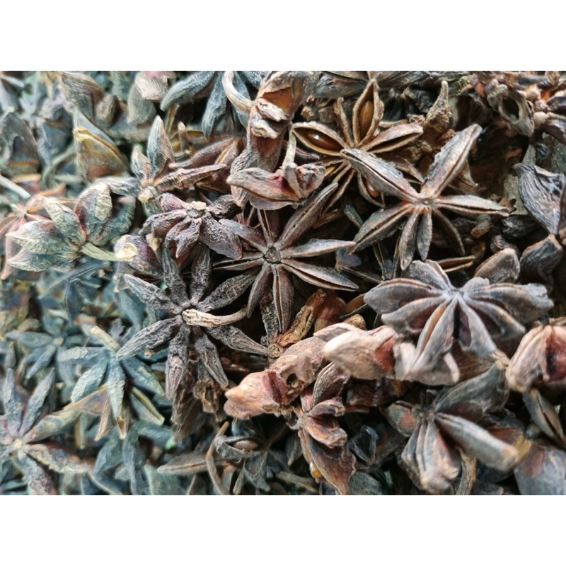 

Bunga Lawang Premium | Bumbu Dapur | 1 Kg
