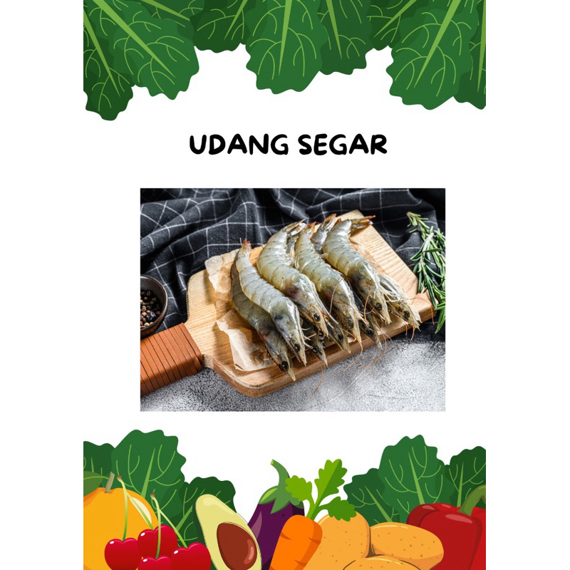 

UDANG SEGAR