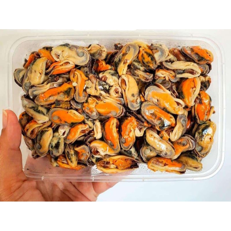 

Daging Kerang Ijo Kupas Box