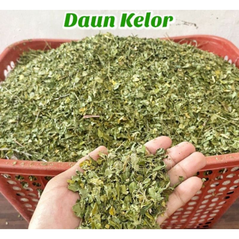 

daun kelor kering 1 kg /1000gram kwalitas bagus asli100%