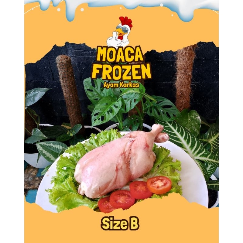 

Ayam Karkas Boiler TOP Size B 1 kg