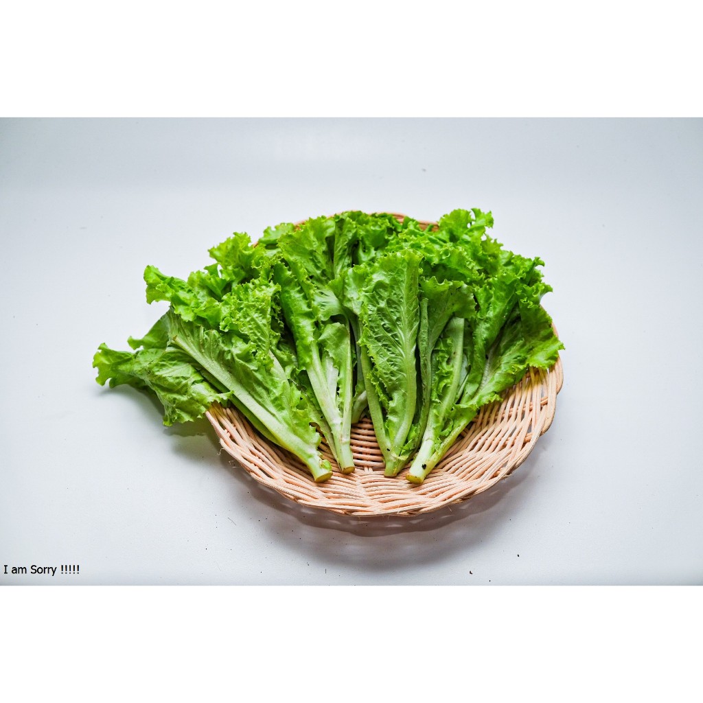 

Selada keriting hijau / lettuce 250gram