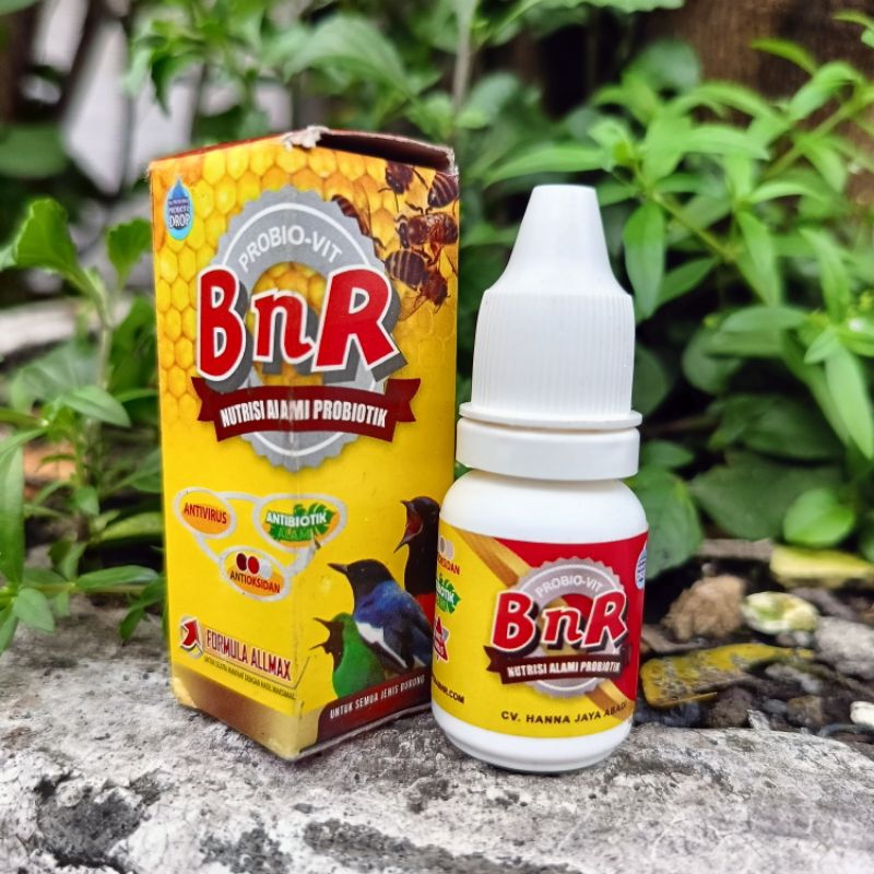 BnR PROBIO VIT VITAMIN PROBIOTIK NUTRISI ALAMI UNTUK BURUNG MURAI KACER KENARI C.IJO KINOI C ROWO SO