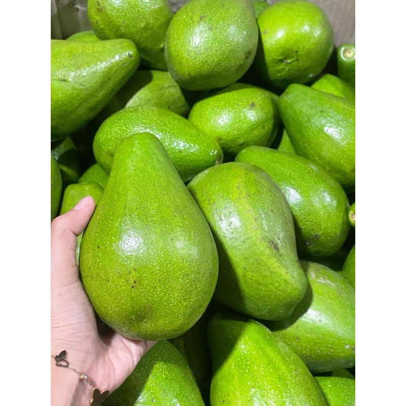 

Alpukat Mentega Super 1kg isi 2-3 buah - Alpukat jumbo - Alpukat mentega - Alpukat Kuning