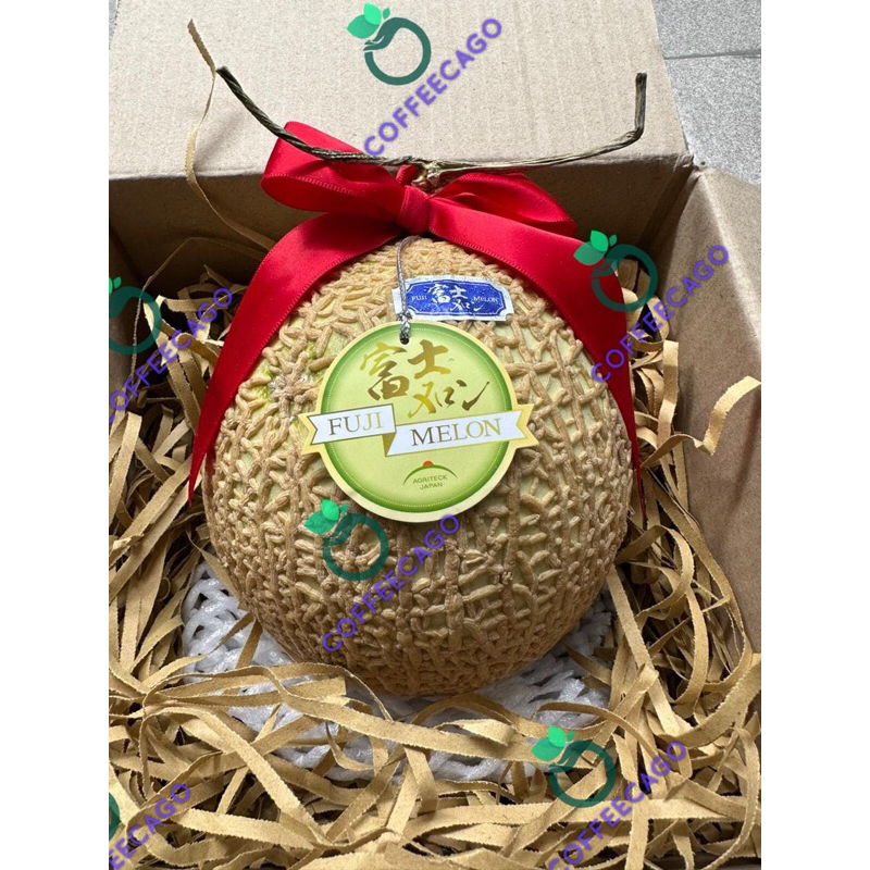 

Melon Fuji Musk Per Pcs Fresh Import