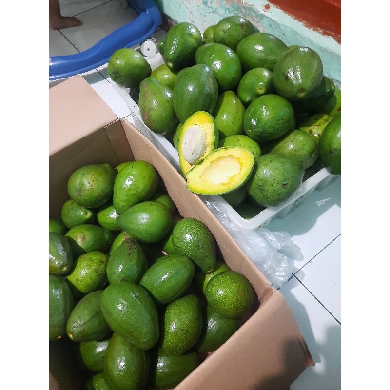 

Alpukat Mentega Premium Daging Tebal Punel Isi 3/4