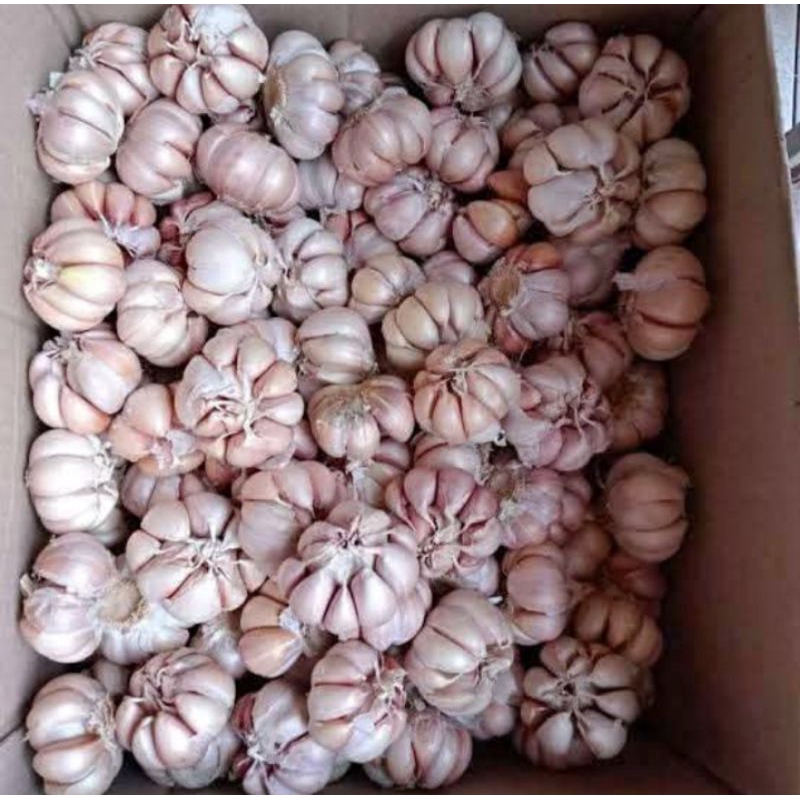 

bawang putih per 1 kg