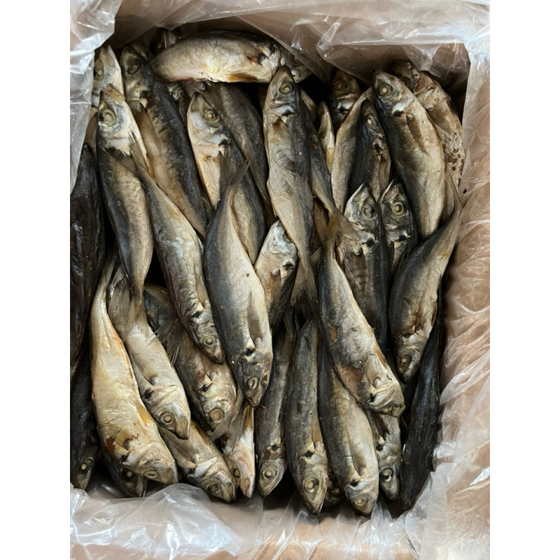 IKAN LAYANG BESAR/SEDANG/KECIL