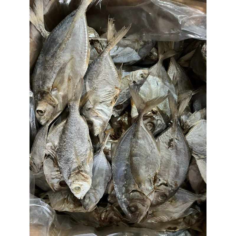 

IKAN ASIN PUTIHAN