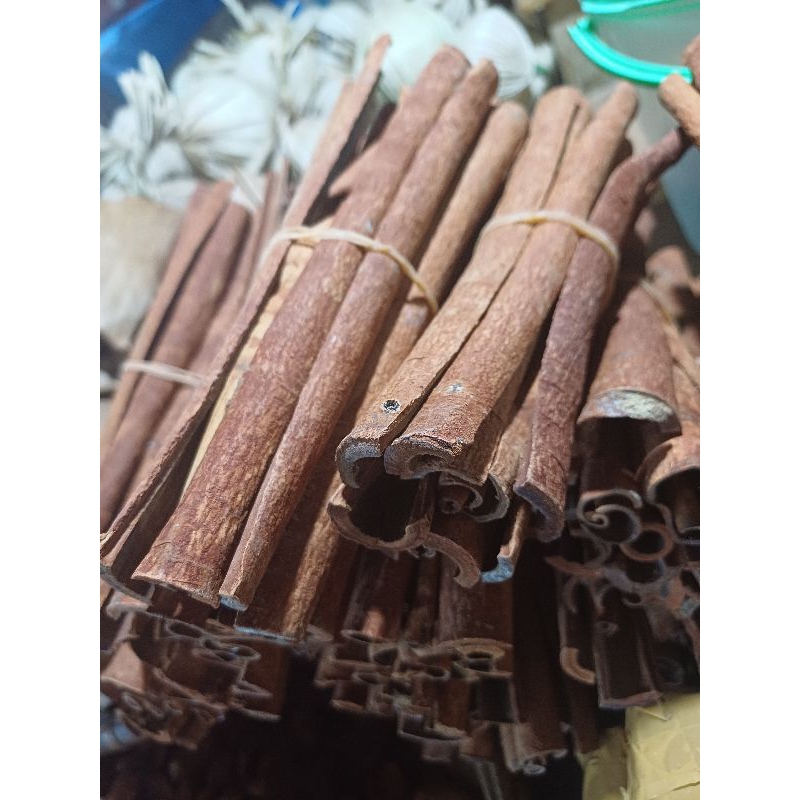 

kayu manis maluku utara
