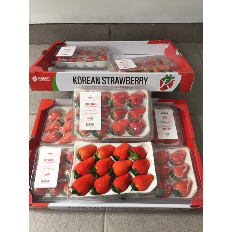 

Strawberry / Buah Strawberry Korea 1 Dus (4 Pack) Fresh Import