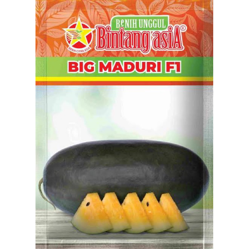 BIG MADURI f1 20 gram || BENIH SEMANGKA KUNING