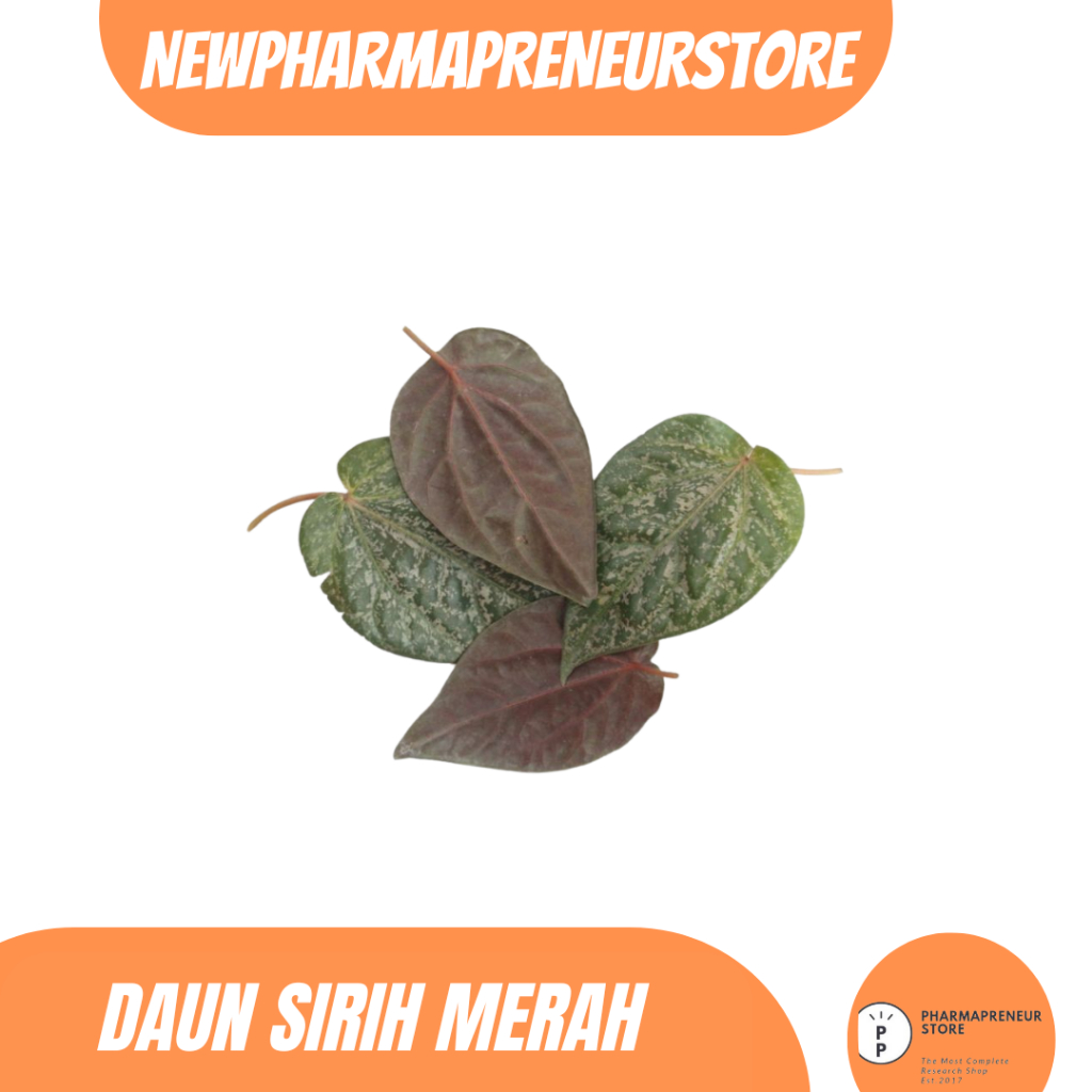 

EKSTRAK DAUN SIRIH MERAH BEST QUALITY