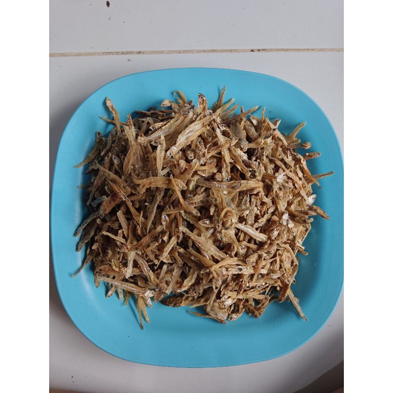 

IKAN TERI