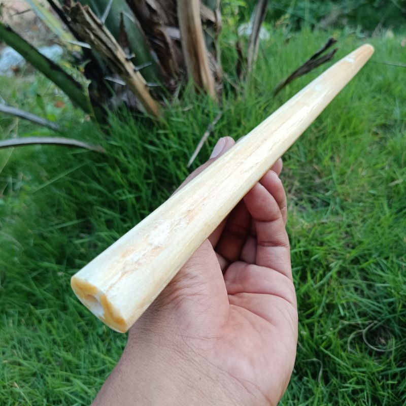Once pipa tulang moncong marlin asli 25cm