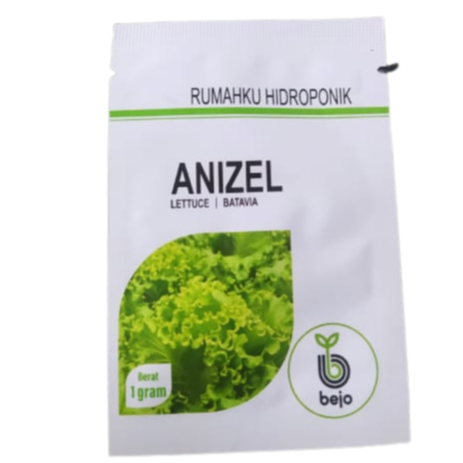 Benih selada batavia Anizel 1 gr