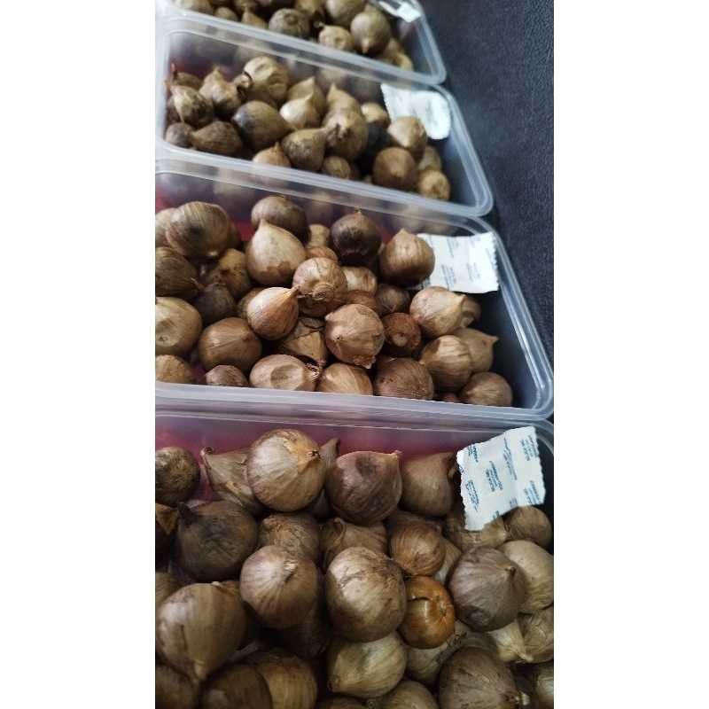 

bawang Lanang Hitam