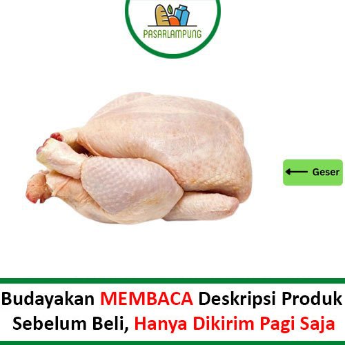 

Ayam Potong Boiler Segar 1 Ekor Pasar Lampung 100% Halal