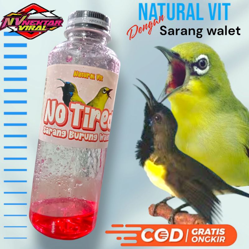 DOPING AMPUH SOGON PLECI KONIN NO TIRED