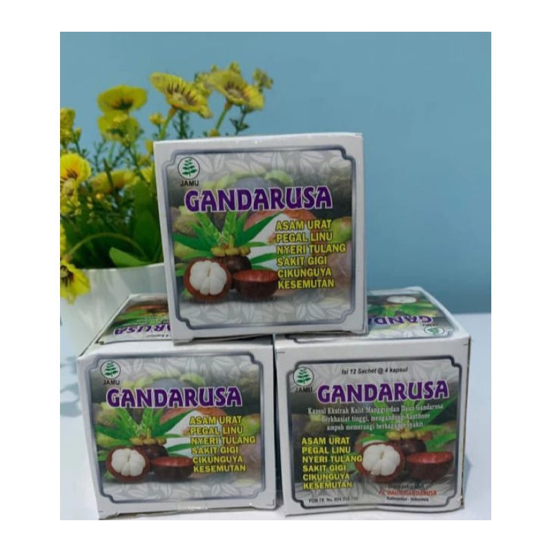 

Gandarusa kapsul asam urat dan pegal linu