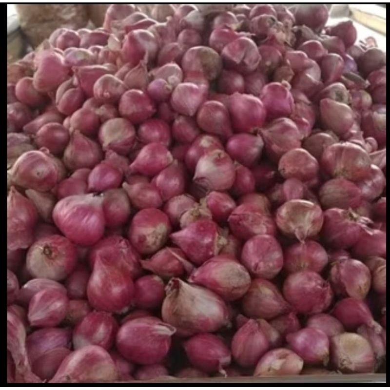 

MURAH Bawang Merah Lokal 1/4kg , 1/2kg , 1kg | Bumbu Dapur Fresh