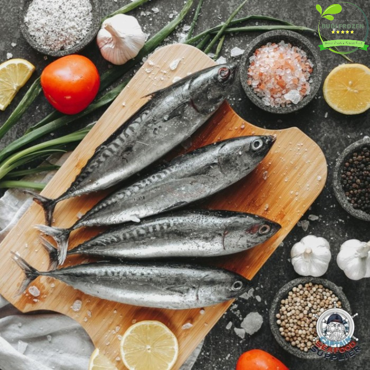 

IKAN TONGKOL DHO SEGAR FROZEN 1 KG / ISI 3-4 EKOR PER KG