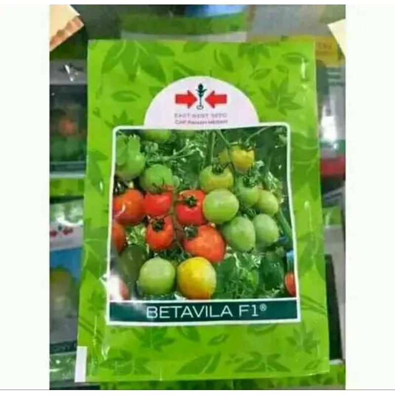 

Benih Tomat BETAVILA F1 1750 butir original