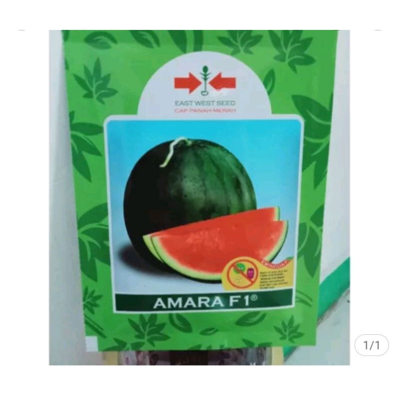 

Benih Semangka non biji AMARA F1 360 butir Kemasan Original