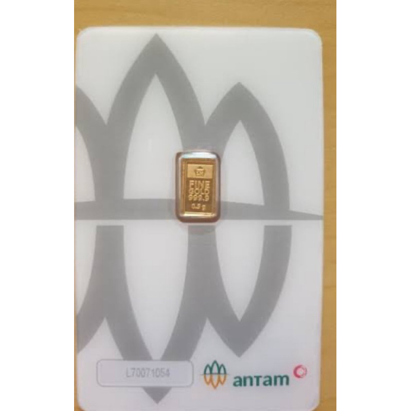 LM0,5gram