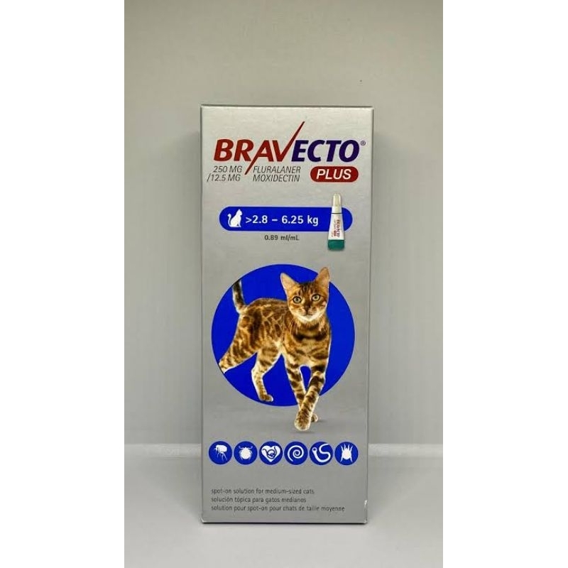 Bravecto Plus Kucing / Cat M (2.8 - 6.25 kg)