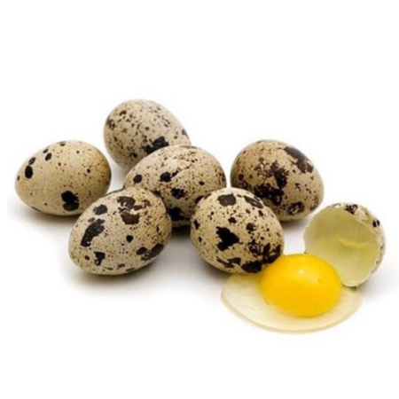 

Telur puyuh mentah 6pcs