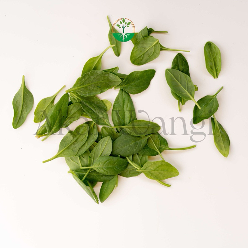 

Baby Vegetables Baby Spinach Akar Wangi