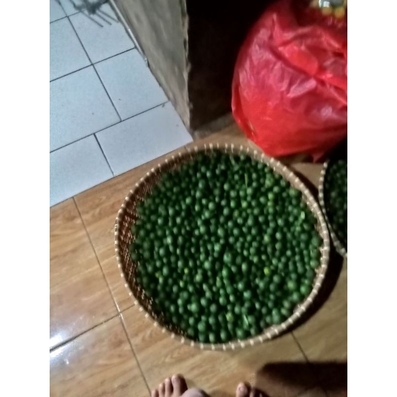 

jeruk limo