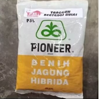 

PIONEER BENIH JAGUNG HIBRIDA P35 kemasan 1kg