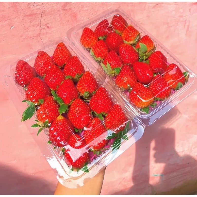 

strawberry fresh grade A
