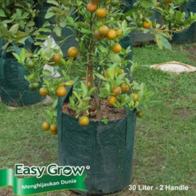 Planter Bag 30 Liter Hijau