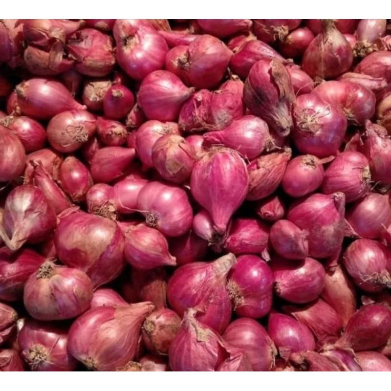 

Bawang merah