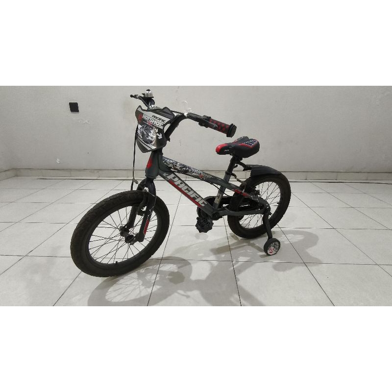 Mountain Bike Anak