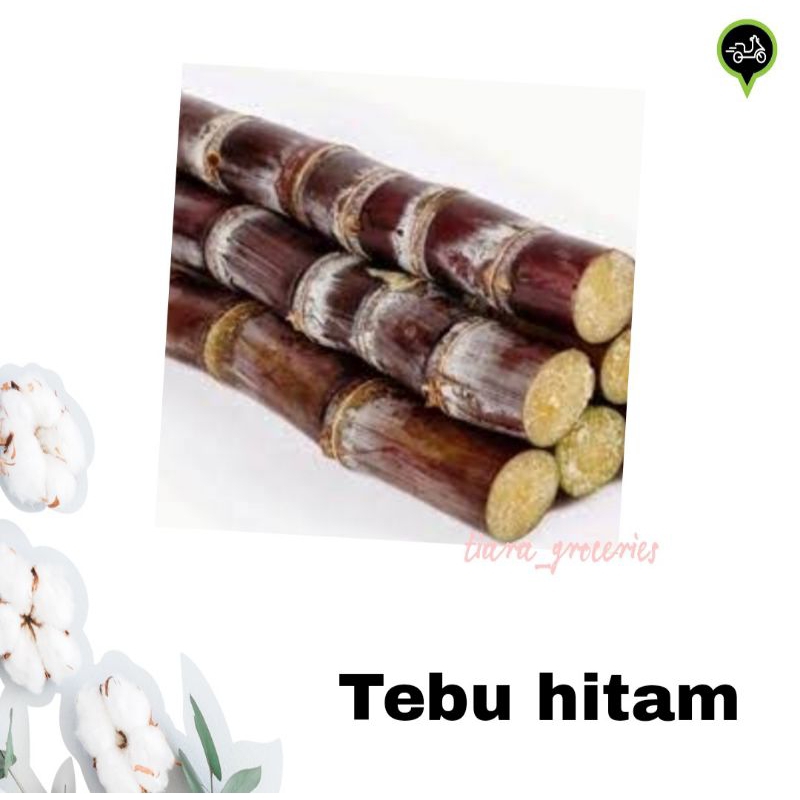 

Tebu hitam