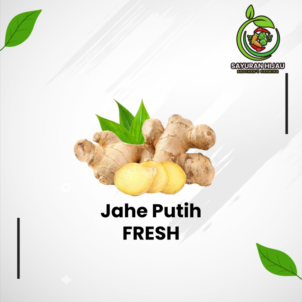 

Instant Jahe Putih Fresh Berkualitas 250gr