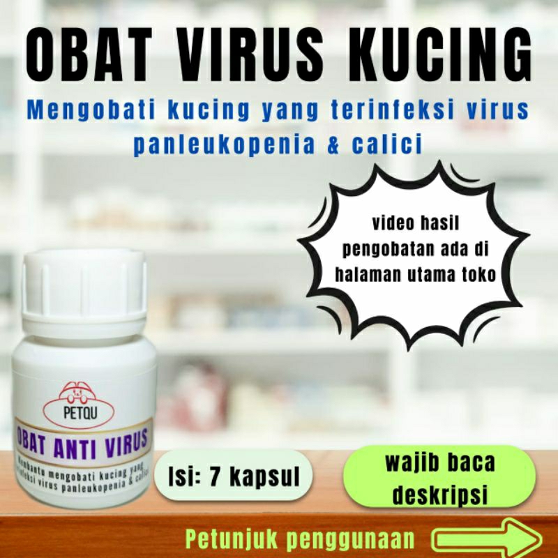 obat virus kucing panleukopenia dan calici