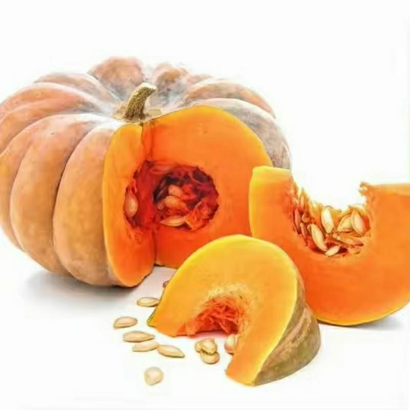 benih labu kuning madu/waluh 100 biji superan siap tanam