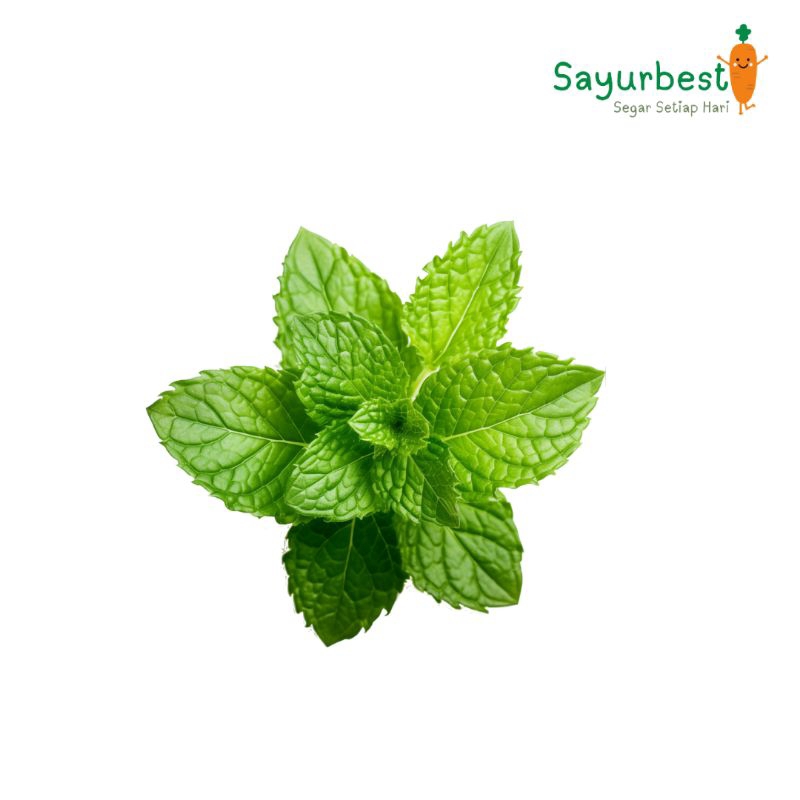 

Daun Mint 100 Gram